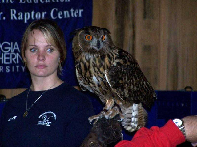 supersaturdayowl3-6-09